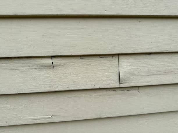 Best Fascia and Soffit Installation  in Savannah, TN